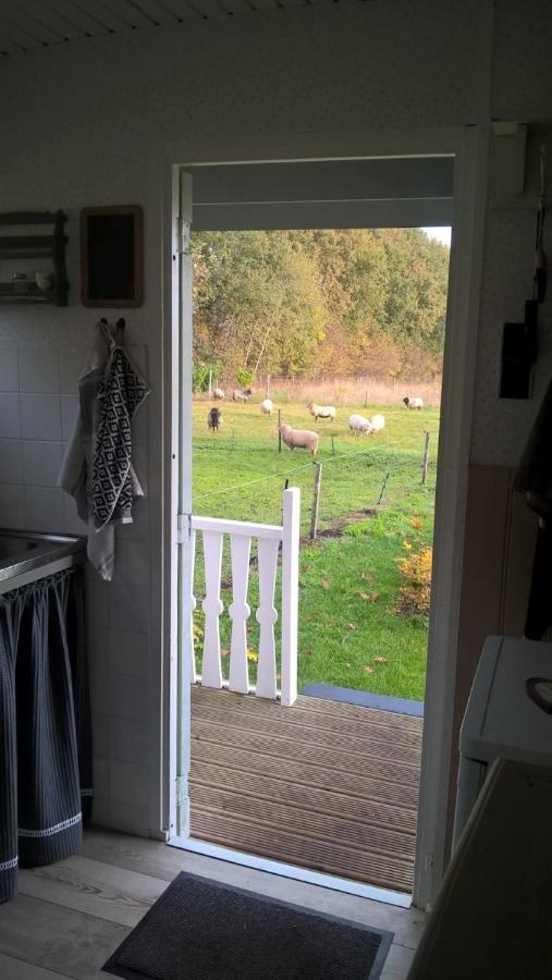 Pipowagen Elsebein Groningen Westerwolde Unieke Ligging Met Eigen Tuin En Vrij Uitzicht Over Veld Naar Natuurgebied Onstwedde Exterior foto