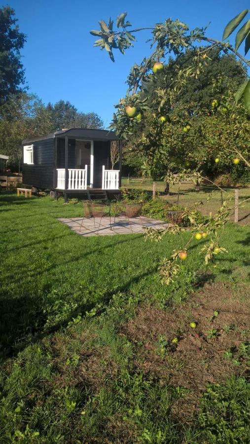 Pipowagen Elsebein Groningen Westerwolde Unieke Ligging Met Eigen Tuin En Vrij Uitzicht Over Veld Naar Natuurgebied Onstwedde Exterior foto